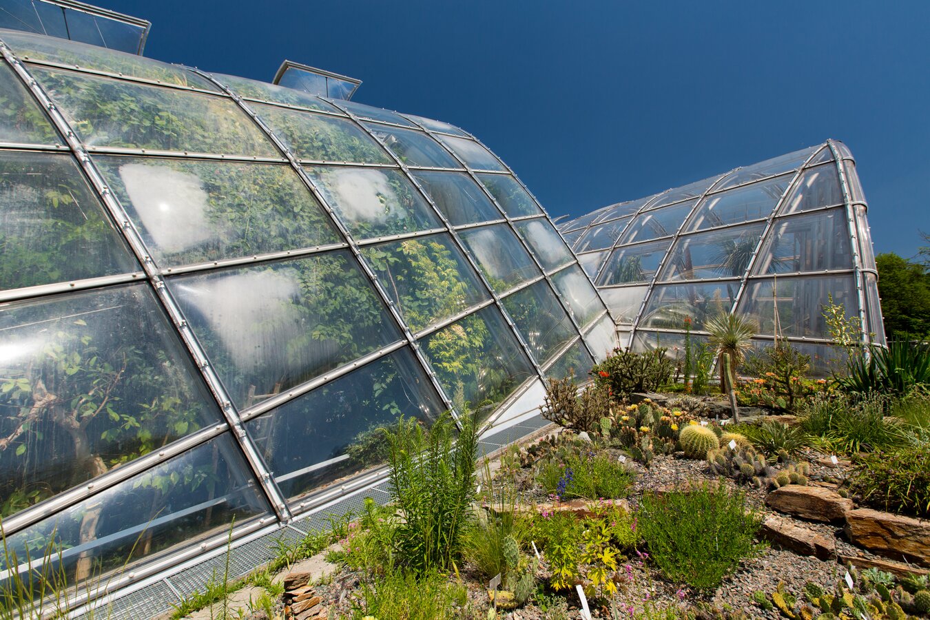 Botanischer Garten Graz Infos, Öffnungszeiten & Eintritt